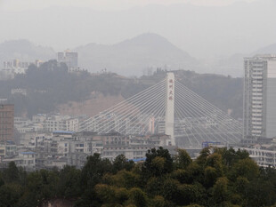 恩施城市远景与林中高塔景观