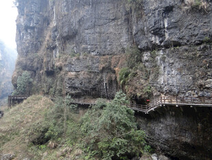 恩施陡峭崖壁上的绿色植被