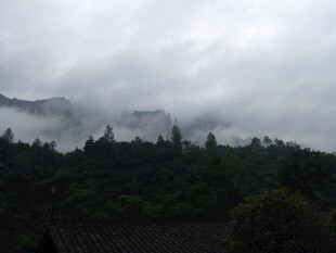 恩施云雾缭绕的山林美景