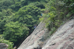 陡峭岩壁上的绿植景观