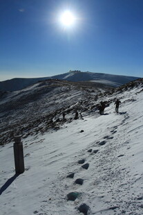 雪地足迹 阳光下的山间美景