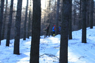 雪地林间的徒步者