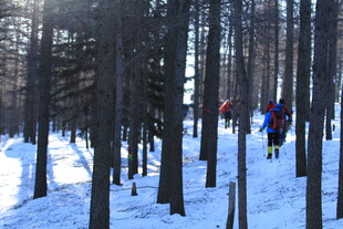 雪地林间徒步者