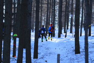 雪地林间的徒步旅行者