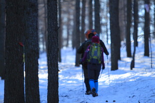 雪地林间徒步者
