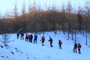 雪地徒步队伍