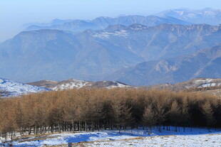 冬日山林雪景 远山朦胧