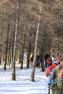 雪地林间的户外徒步队伍