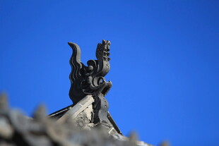 屋顶上的精美雕塑