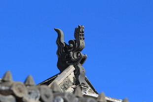 屋顶上的精美中式雕刻