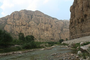 山间河流旁的壮丽峡谷