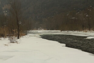 冬日河畔雪景