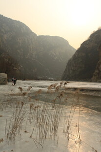 冬日河畔萧瑟景致