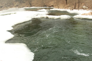 冬日溪流 冰与水的交融