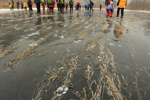 众人在泥泞滩涂中行走