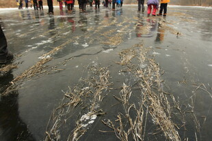 冰面人群与岸边枯草景象