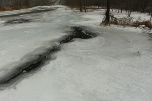 冬日积雪覆盖的乡间小路