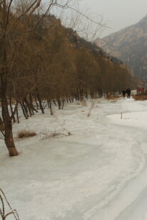 冬日雪覆林间小路