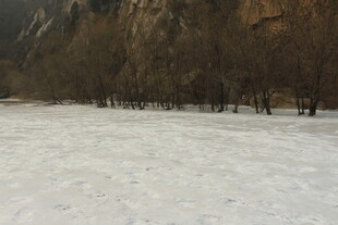 冬日雪覆盖的山林景象