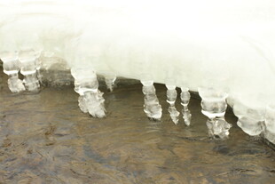 地面上晶莹的冰柱奇观