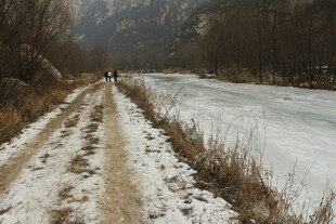冬日雪覆小路与冰封河岸