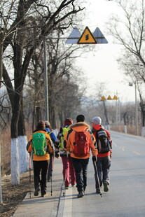 户外徒步人群行进在路上