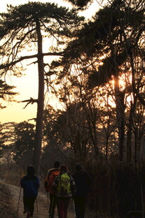 夕阳下的户外徒步队伍