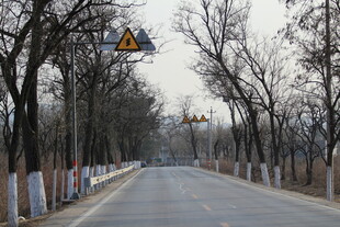 冬日空旷乡村道路景象