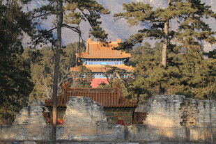 古建隐于松林间