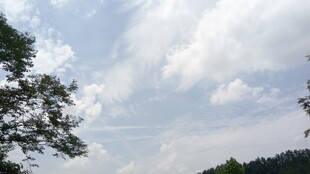 蓝天白云下的山林景致