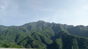 翠绿山峦美景
