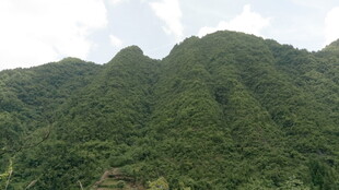 翠绿山峦美景