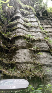 奇特岩壁下的静谧水域