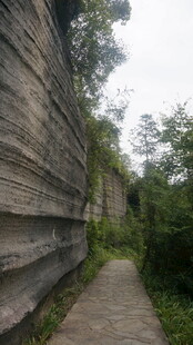 古老石墙旁的幽径