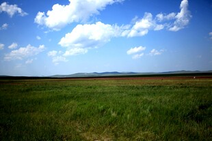 广袤草原蓝天风景