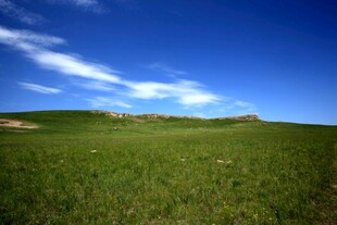 广袤草原 蓝天绿地美景