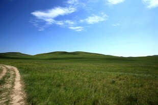 草原上的蜿蜒小路