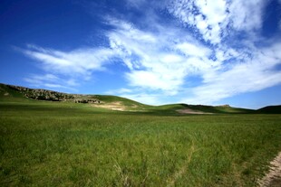 广袤草原与蓝天白云美景
