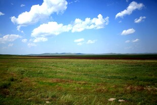 广阔草原蓝天白云美景