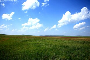 广袤草原上的蓝天白云