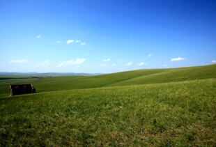 广袤草原蓝天美景