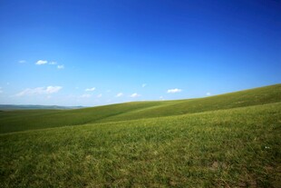 广袤绿野 蓝天相伴