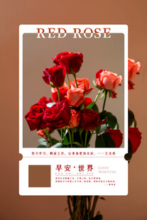 复古风红色花卉摄影作品