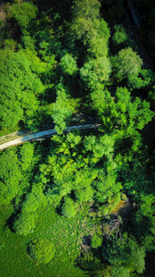 俯瞰翠绿山林中的蜿蜒小径