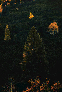 山林暮色中的闪烁灯火