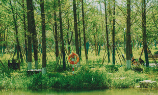 森林中的多彩露营场景