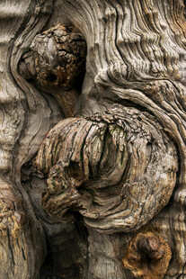 古老木雕细节纹理特写