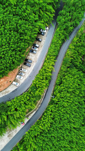 蜿蜒公路穿行翠绿山林