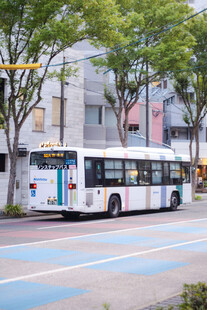 城市街道上的白色公共汽车