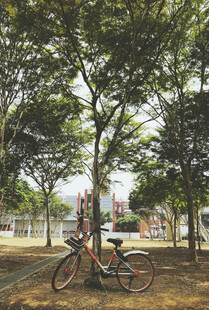 公园中骑车漫步的温馨场景